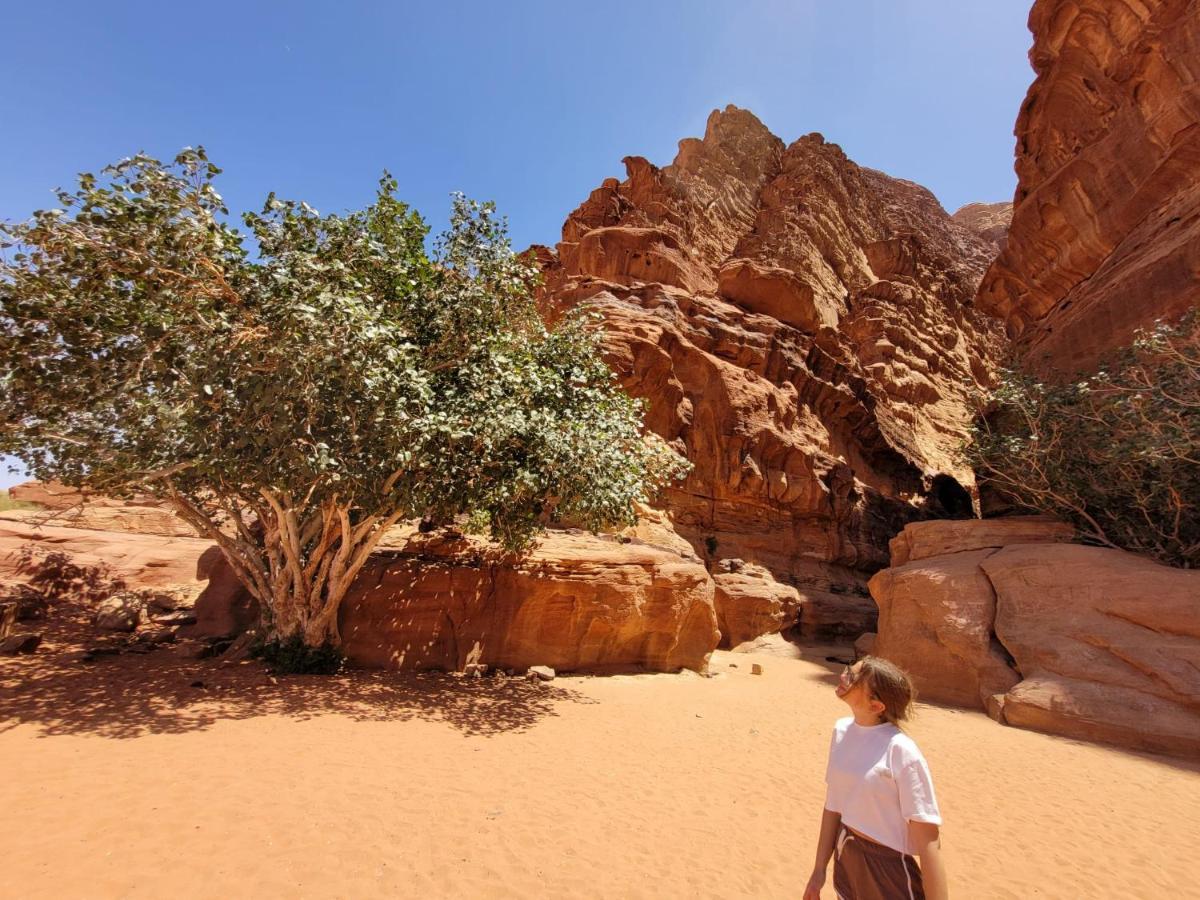 Moon City Camp Wadi Rum Exterior photo